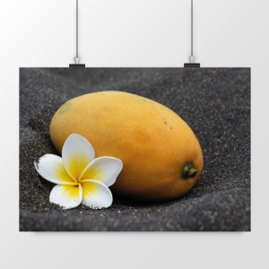 Tirage "Été tropical" - Satiné