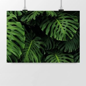 Tirage "Monstera" - Satiné